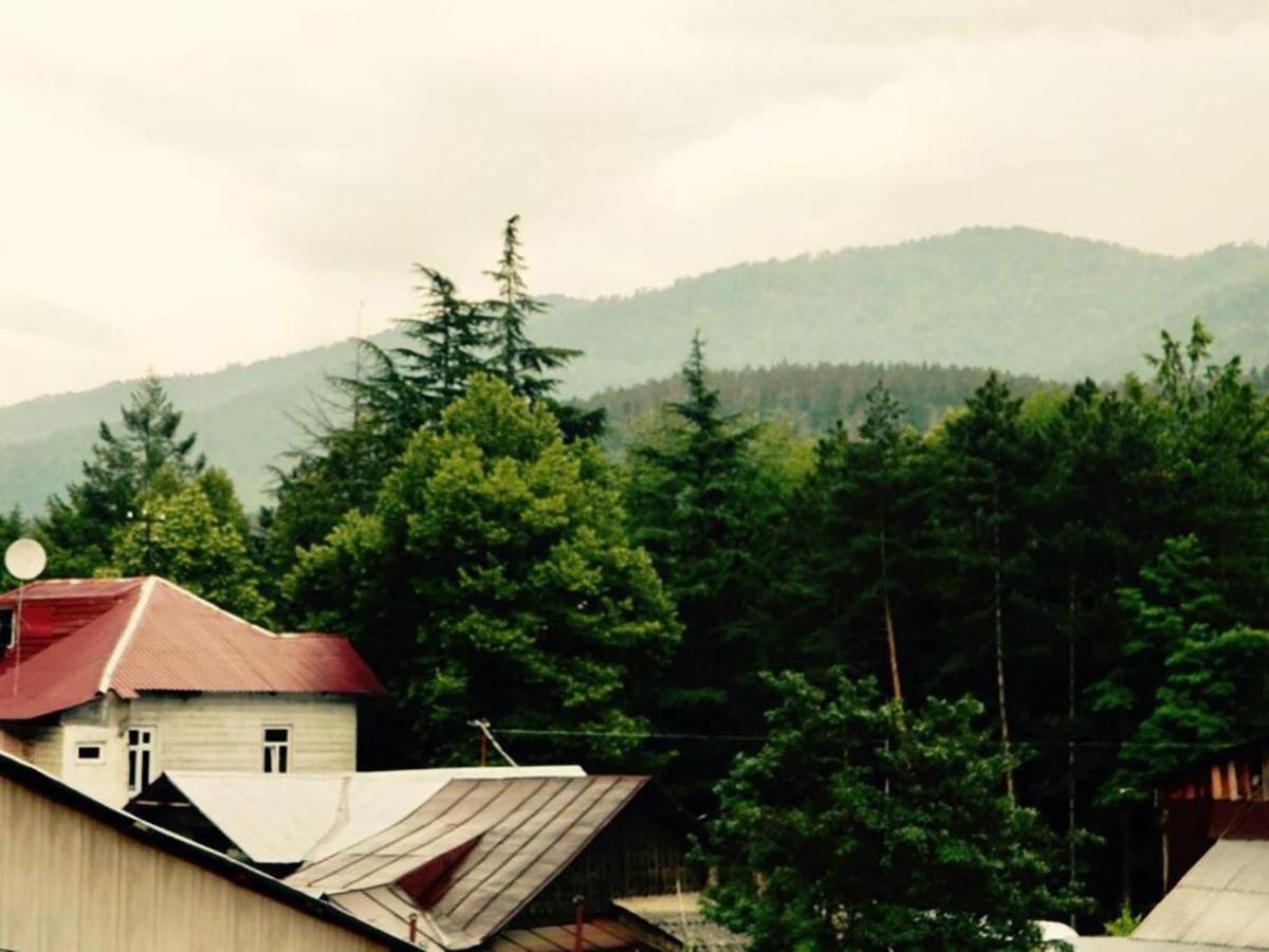 Erik'S Guest House Borjomi Dış mekan fotoğraf