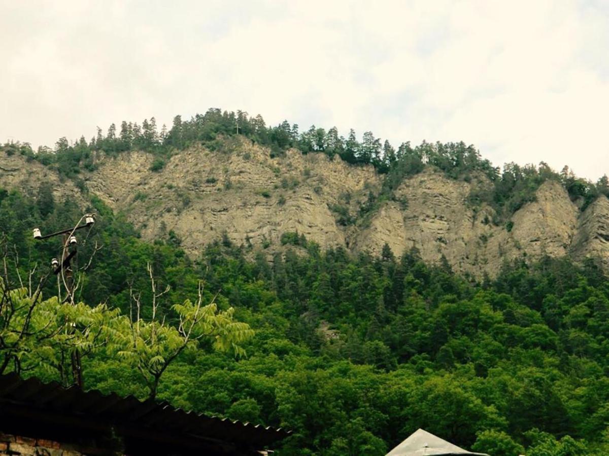 Erik'S Guest House Borjomi Dış mekan fotoğraf
